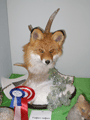 2010-vulpes